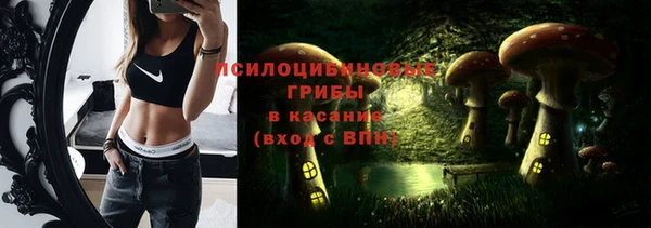 гашик Алексеевка