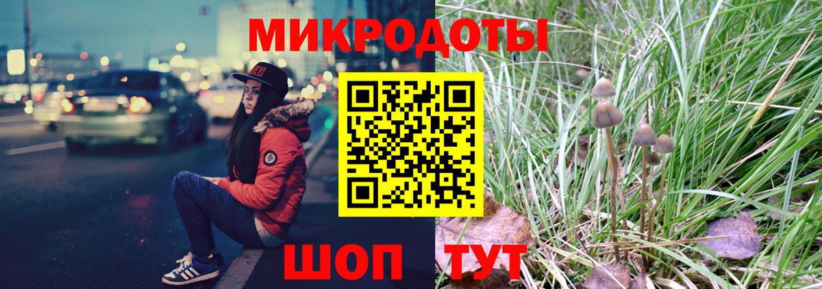 Галлюциногенные грибы мицелий  Псилоцибиновые грибы Psilocybine cubensis  купить закладку  Вход с VPN  Ярцево 