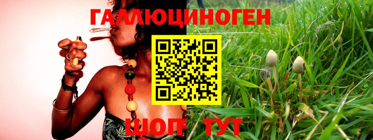 Псилоцибиновые грибы Magic Shrooms Ярцево